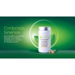 Cordyceps sinensis antibiotic natural 150 capsule